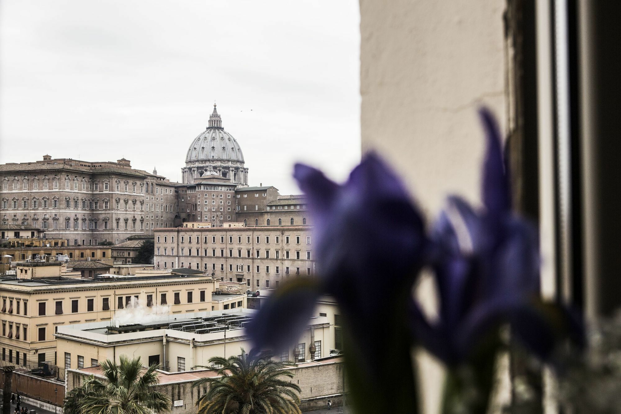 St Peter Bed In Affittacamere Roma